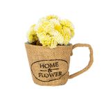 MO26733--630-Planta-Frutos-Silvestres-Crema