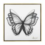 MO29426-Cuadro-Mariposa-Carboncillo-1.jpg