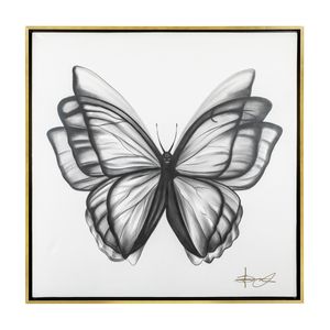 Cuadro Mariposa Carboncillo